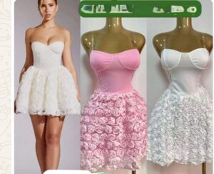 Ladies dress